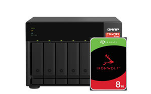 TS-673A + Seagate IronWolf 8T 組合優惠