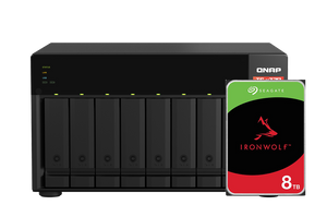 TS-873A + Seagate IronWolf 8T 組合優惠